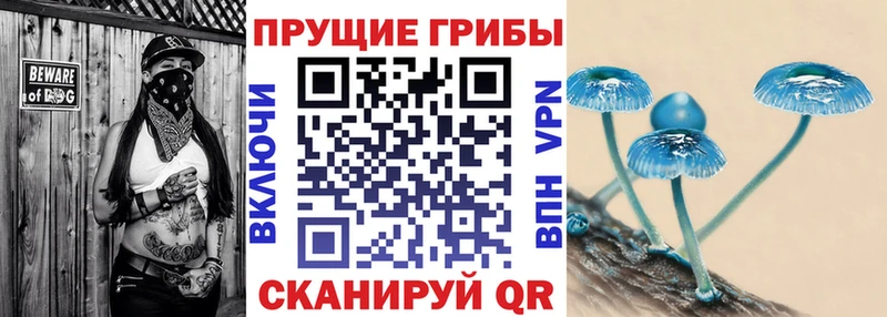 Галлюциногенные грибы мухоморы где продают Бодайбо